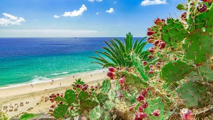 Caleta Relax - Apartamento Fuerteventura Apartment La Oliva Εξωτερικό φωτογραφία